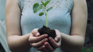 Groeien als pedagogisch professional met E-wise